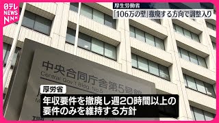 【厚労省】厚生年金加入の収入要件「106万の壁」撤廃の方向で調整 [upl. by Sosthenna313]