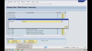 SAP S4 HANA SD 2024 Business Partner Master Data 9 [upl. by Ferris]