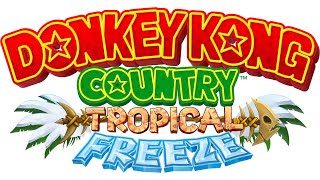 Donkey Kong Country Tropical Freeze  Grassland Groove [upl. by Shum]