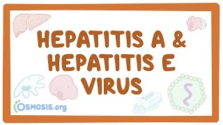 Hepatitis A and hepatitis E virus  causes symptoms diagnosis treatment pathology [upl. by Nine]