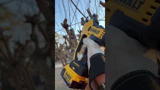 DEWALT 20V POWER PRUNER Could This Be The Most POWERFUL Pruner Youve Ever Used [upl. by Aisercal]