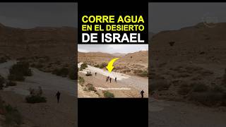 🇮🇱 Agua en el Desierto Un Fenómeno Real y Único en Israel qué Atrae Multitudes [upl. by Tiebold]