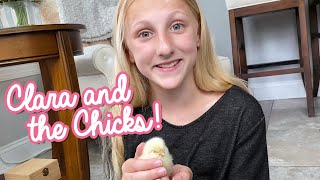 Hatching Chicks with Claras World [upl. by Novek]