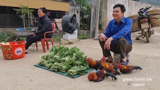 Sell wild chickens and vegetables Robert  Green forest life ep276 [upl. by Mccurdy191]