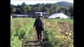 Mark Mulcahy  In Pursuit of your Happiness Official Video [upl. by Eltsirk]