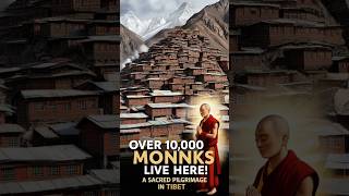 How 10000 Monks Live Together in Tibet monk city shorts [upl. by Anikas]