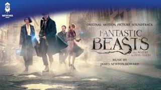 Fantastic Beasts and Where To Find Them Official Soundtrack  The Erumpent  WaterTower [upl. by Hctim505]