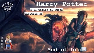 Audiolibro  Harry Potter e il calice di fuoco  Lettura e Commento Cap 35 [upl. by Moser]