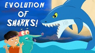 Evolution Of Sharks  The Dr Binocs Show  Best Learning Videos For Kids  Peekaboo Kidz [upl. by Trevah355]