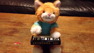 KEYBOARD CAT THE TOY [upl. by Saltsman728]