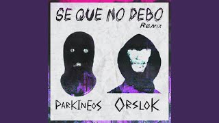 Se Que No Debo Remix [upl. by Rillings]