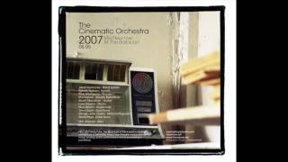 Cinematic Orchestra  Rites Of Spring  live [upl. by Nelac]