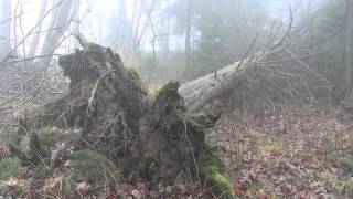 Kahler Asten mit Lennequelle  Kahle Asten der höchste Berg in NRW [upl. by Annekam696]