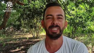 Produção de ovos em sistemas agroecológicos  PARTE 01  CONVERSAS SOBRE AGROECOLOGIA [upl. by Janie]