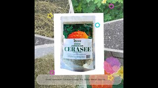 Dried Jamaican Cerasee Loose Tea Bitter Melon 2oz Rastaman Stew [upl. by Rask]