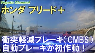 ホンダ フリード＋ ホンダセンシング 衝突軽減ブレーキ（CMBS）自動ブレーキが初作動！ [upl. by Philomena]