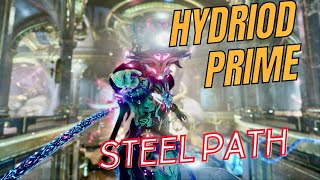 Hydroid prime build Warframe [upl. by Reinwald]