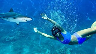 SWiMMiNG WiTH SHARKS LiLEES BiRTHDAY WISH GONE WRONG🦈😱 [upl. by Reifinnej]