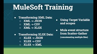 MuleSoft TrainingWeek5class2 [upl. by Bonnice]