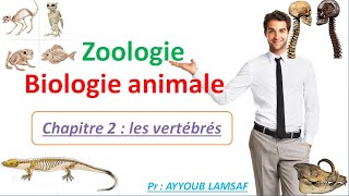 Biologie animale  zoologie chapitre  les vertébrés [upl. by Ecyak]