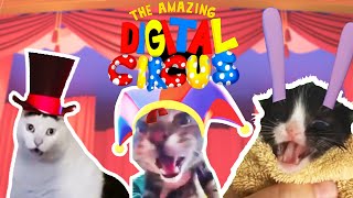 The Amazing Digital Circus  Cat Version  Meme [upl. by Tengler]