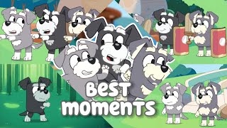 The Terriers Best Moments [upl. by Hajan226]