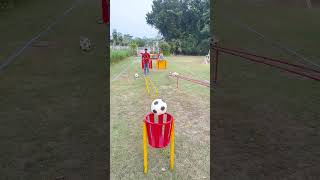 football accuracy and a whole lot of fun [upl. by Aloise]