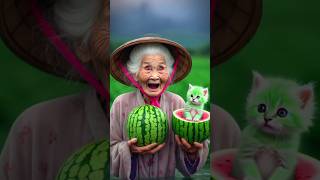 Green Cats Wild Watermelon Journey🍉 cats catlover cutecats [upl. by Tobit]