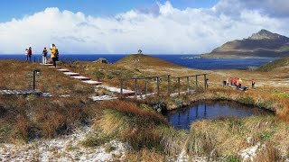 Cape Horn  Australis Cruise  Highlights [upl. by Martijn193]