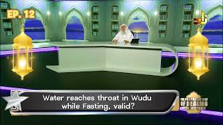 Water reaches throat while rinsing nose in Wudu while Fasting valid assim al hakeem JAL [upl. by Inafit610]