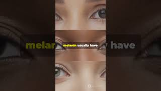 Why Do We Have Different Eye Colors facts shorts viralvideo science eyescolor melanin [upl. by Busby]