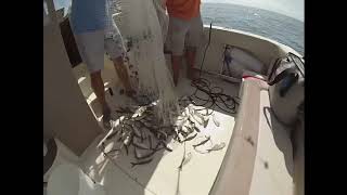 King Mackerel trip offshore of Sunset Beach NC Got Bait [upl. by Loydie]