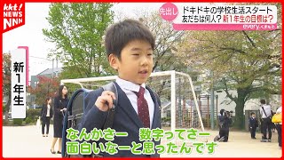 「1年生になって何したい」ワクワクドキドキ 小学校の入学式 [upl. by Leynad]