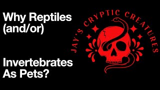 Why Reptiles andor Invertebrates As Pets [upl. by Akemaj211]