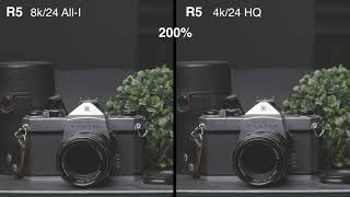 Canon R5 vs Eos R vs 1DXiii Video Sharpness Comparison and High ISO [upl. by Iad]