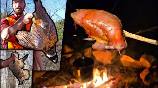 Pheasant Hunting Catch amp Cook  Truck Camping Overnight in the Woods [upl. by Atteragram]