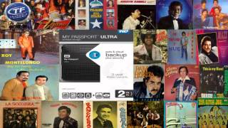 TEJANO MUSIC MIX ROY MONTELONGOLATIN BREED ETC [upl. by Eliades]