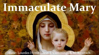 Immaculate Mary  Lourdes Hymn  Choir with Lyrics  5 Verses  Catholic Hymn  Sunday 7pm Choir [upl. by Coats]