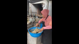 MEMBERI MAKAN BEBEK USIA 60 HARI  NUÔI VỊT 60 NGÀY TUỔI  ให้อาหารเป็ดอายุ 60 วัน 🦆🦆🦆 [upl. by Depoliti603]