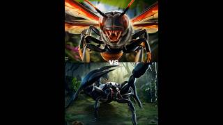 Scorpion vs Tarantula Hawk Wasp vs other Issects  Butterfly aunt Frog Spider  insects shorts [upl. by Ellsworth]