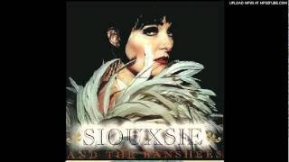 Siouxsie amp The Banshees  The ghost in you Live [upl. by Hgieliak593]