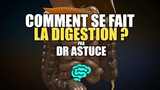 🔴 La Physiologie Digestive Expliquée Très Clairement par Dr Astuce [upl. by Womack289]