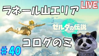 【ゼルダの伝説totk】４０ コログのミ１０００コ集める。 のんびり実況 ～ラネール山鳥望台エリア～ [upl. by Aineval308]