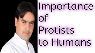 Importance of Protists to humans  Class 11  Dr Mushtaq lectures [upl. by Ytisahc431]