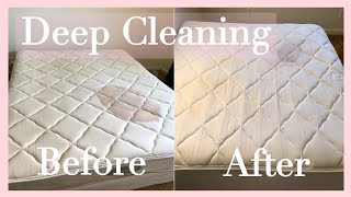 STAIN MATTRESS Carpet Extractor DEEP CLEANING [upl. by Oates155]