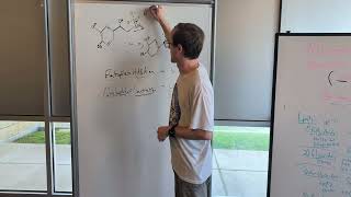 Nucleophile and Electrophile Substitutions [upl. by Chaddy232]