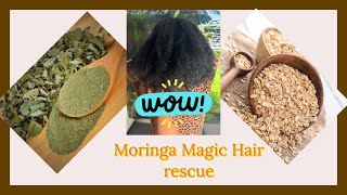 USING MORINGA for hair growthMoringa for Hair Growth Moringa oat magic hair rescue [upl. by Raimes]