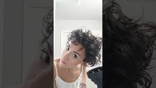 How to use a Diffuser Diffussing My Curls Curly Hair Natural Naturally Curly Hair Tricks Curls [upl. by Foushee]