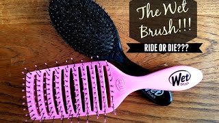 Review The Wet Brush and Speed Dry Brush [upl. by Krenek]