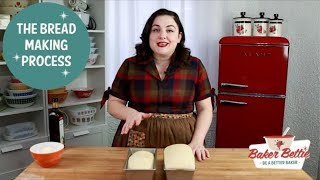 Understanding Bread Making StepByStep  kneading proofing bulk fermentation shaping [upl. by Fendig118]